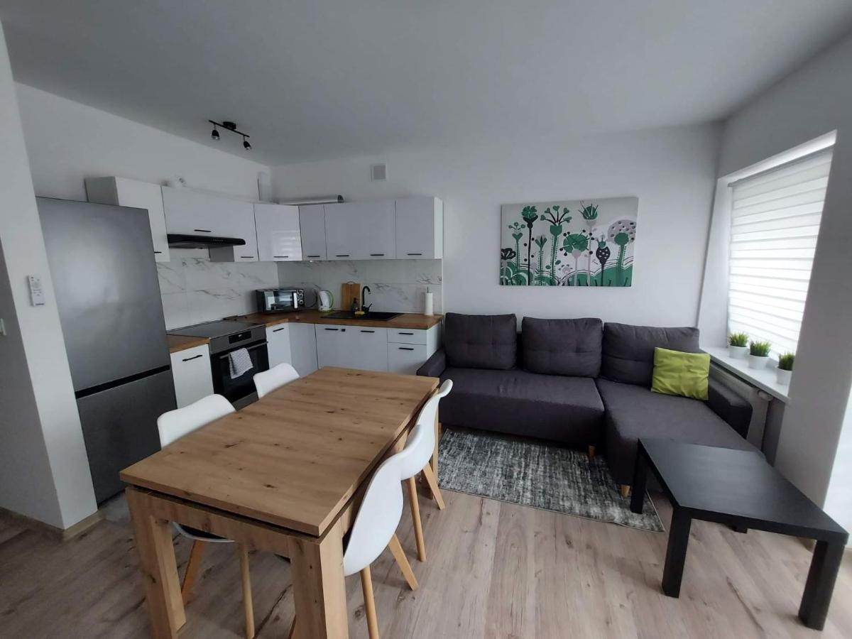 Apartament River Скернєвіце Екстер'єр фото