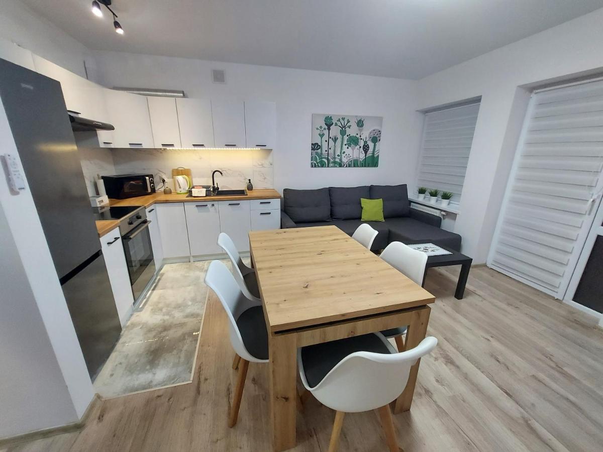 Apartament River Скернєвіце Екстер'єр фото